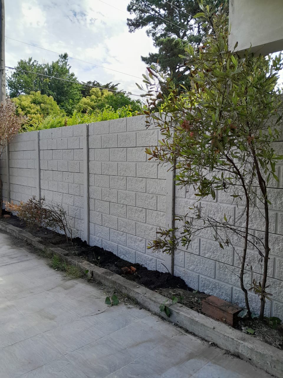 img 20241209 wa0122[1]